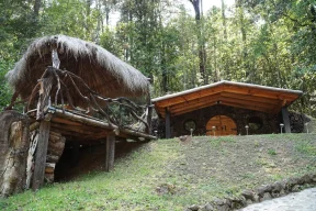 Conexión con naturaleza